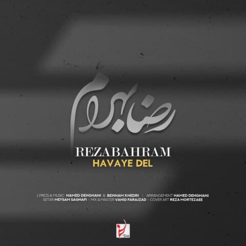 Reza Bahram - Havaye Del