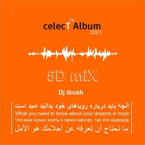 Dj ibosh Celect Album Dj ibosh - Acshenez