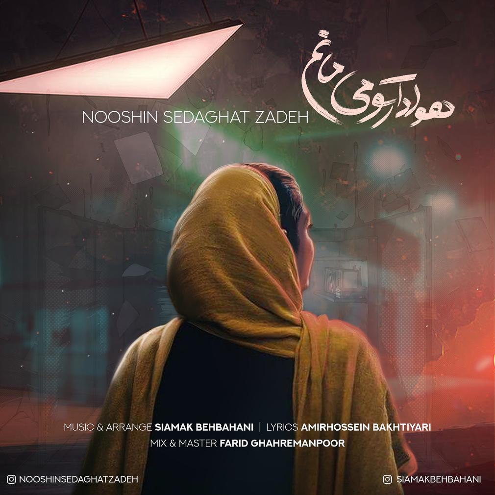 Nooshin Sedaghat Zadeh