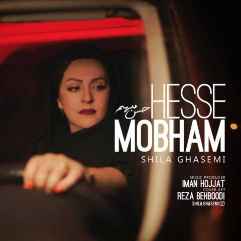 Shila Ghasemi - Hesse Mobham