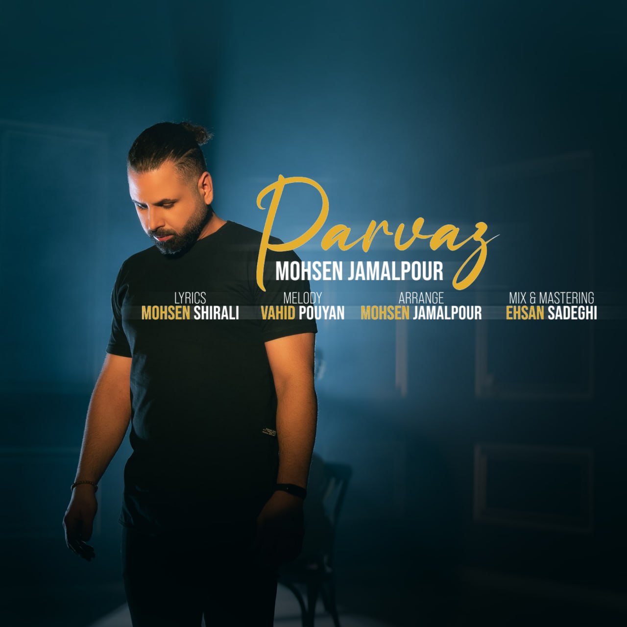 Mohsen JamalPour Parvaz Mohsen JamalPour