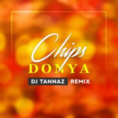 DJ Tannaz Chips Remix DJ Tannaz