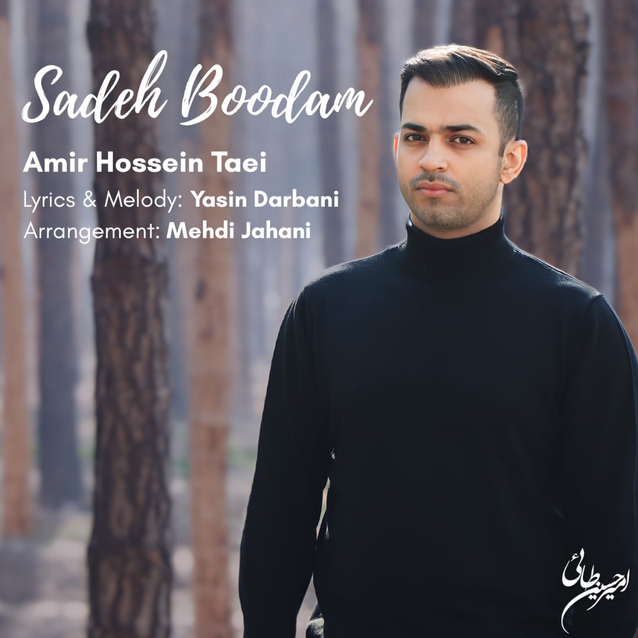 Amir Hossein Taei Sadeh Boodam Amir Hossein Taei