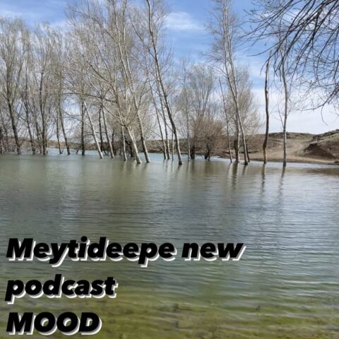 Meytideepe - Mood Podcast