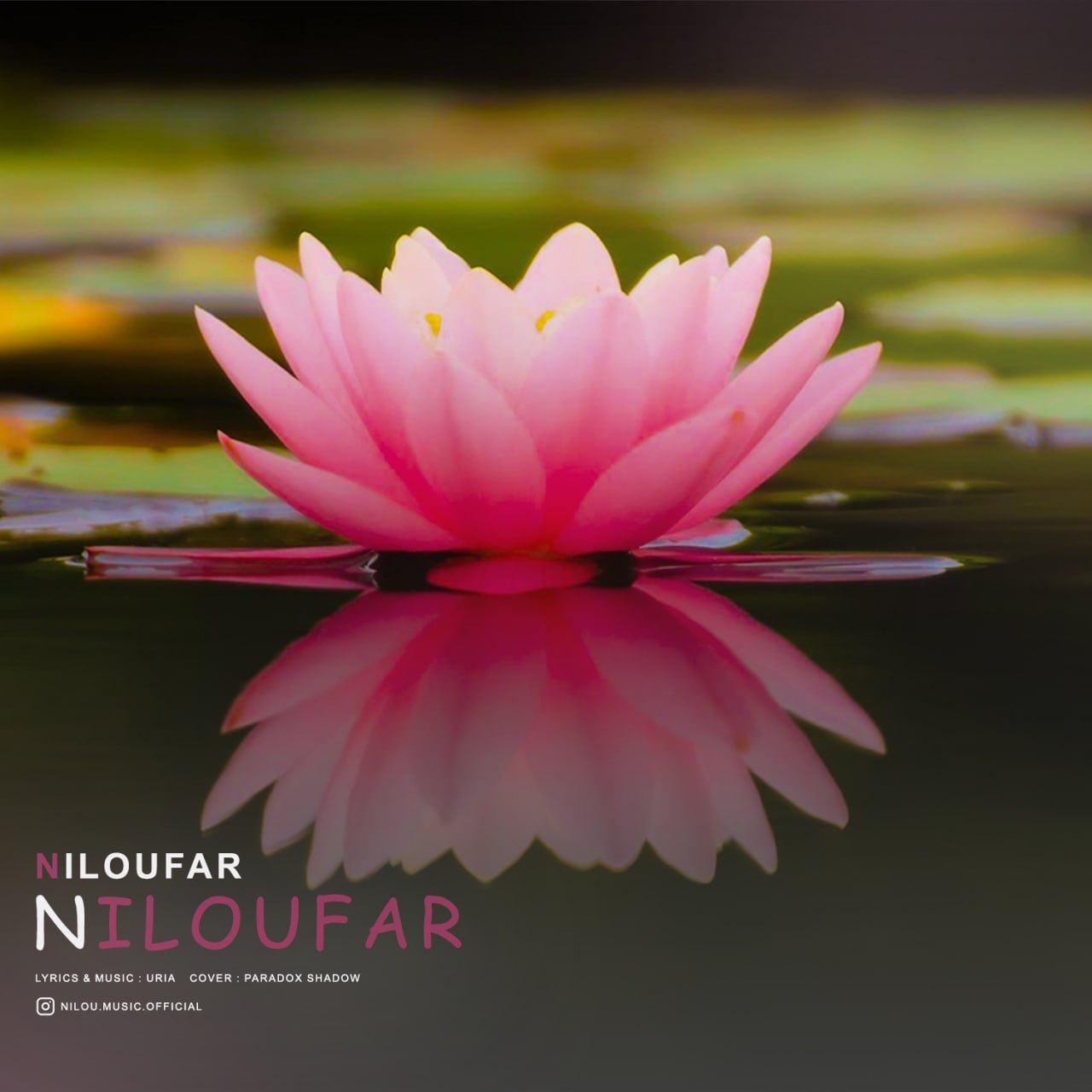 Niloufar – Niloufar
